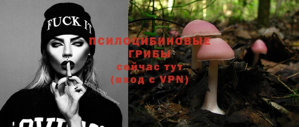 метадон Магас