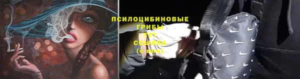 apvp Медвежьегорск
