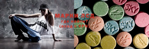 СК Медногорск