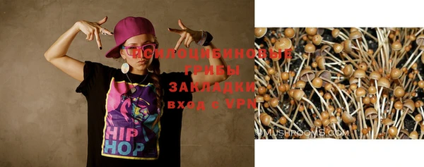 apvp Медвежьегорск