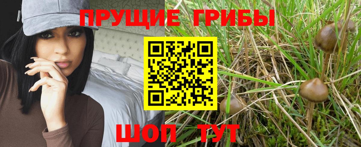 Псилоцибиновые грибы GOLDEN TEACHER  Вход с VPN  где продают   Людиново 